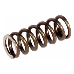 SPRING FOR MOTOR BEARING 402-F | 