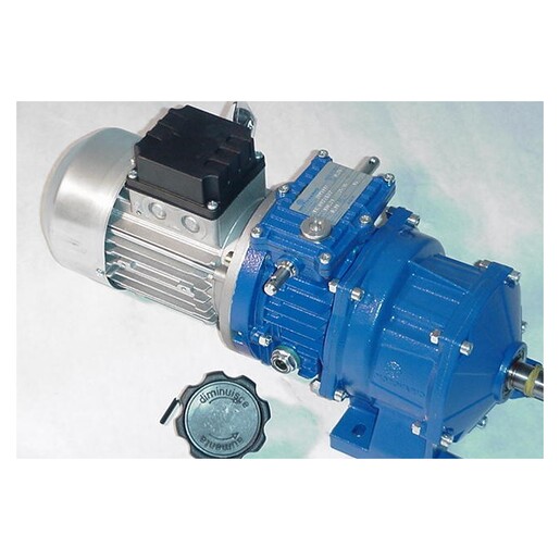 VARIABLE SPEED MOTOR |