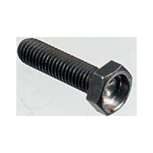 VITE M8X30 T.ES PER PASTICCA BRONZO |