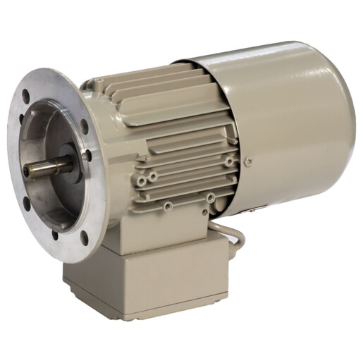 THREE-PHASE MOTOR S6/40% |