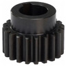 GEAR Z20 M2,5  C8  024001001 | 