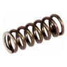 SPRING FOR MOTOR BEARING 402-F | 