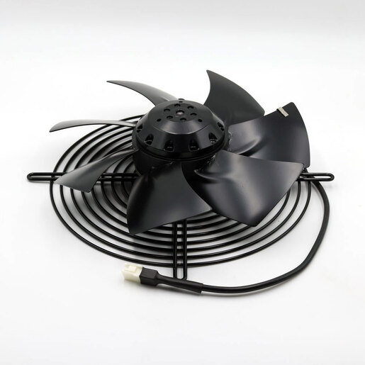 FAN |