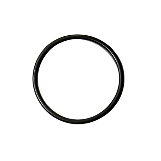 O-RING |
